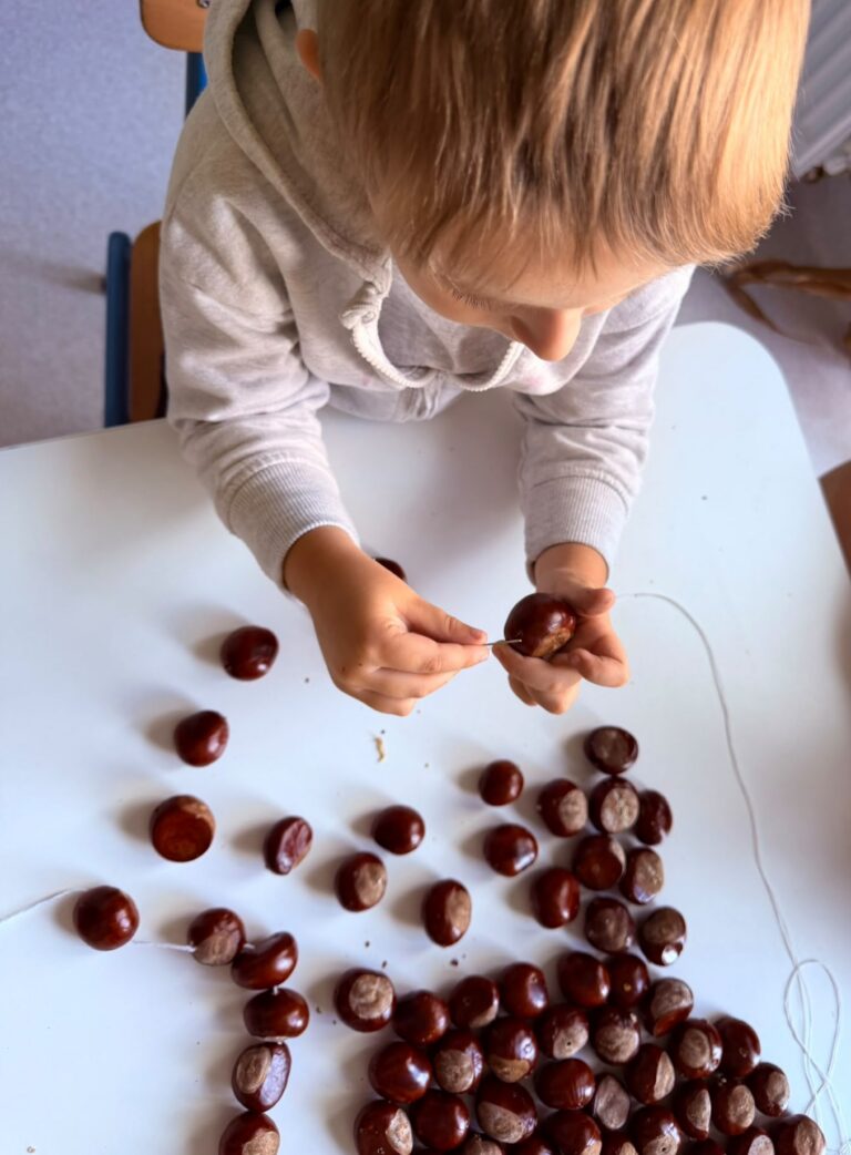 🍂 Pierwszy Dzień Jesieni 🍁 Słoneczka